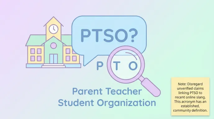 ptso meaning slang