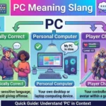 pc meaning slang