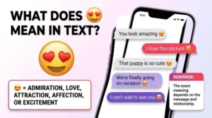 what does 😍 mean in text